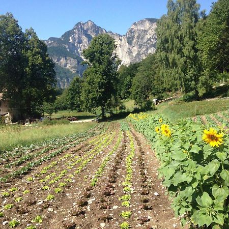 Appartamento Bauernhof Hof Unternberg Magrè all'Adige Esterno foto