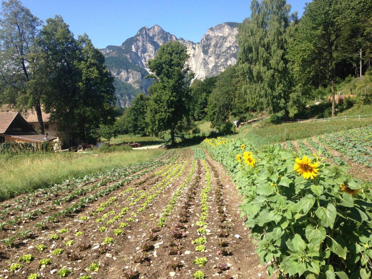 Appartamento Bauernhof Hof Unternberg Magrè all'Adige Esterno foto