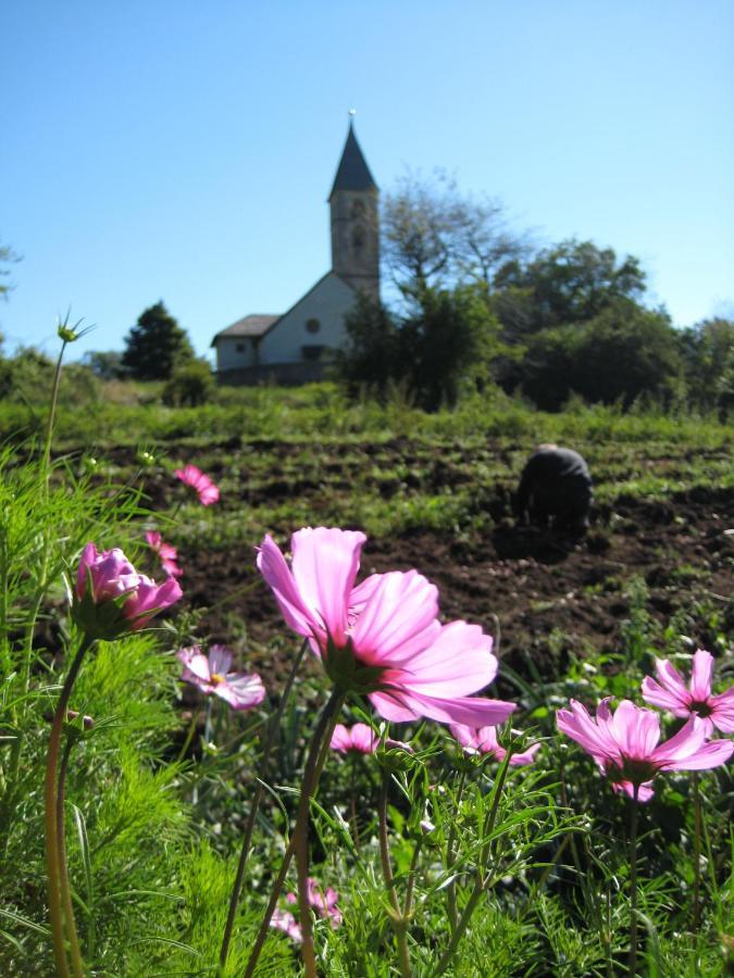 Appartamento Bauernhof Hof Unternberg Magrè all'Adige Esterno foto