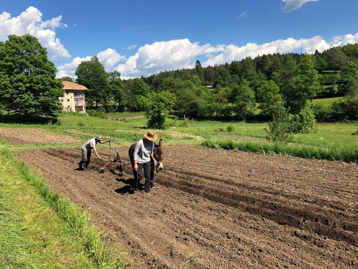 Appartamento Bauernhof Hof Unternberg Magrè all'Adige Esterno foto